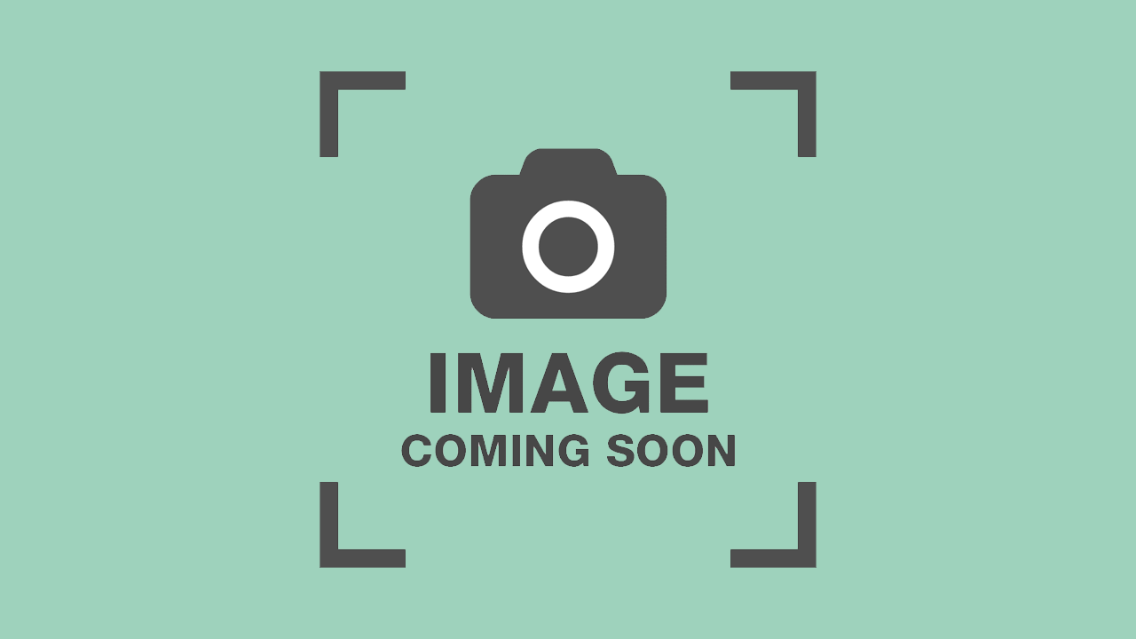 趣味を楽しむ様子